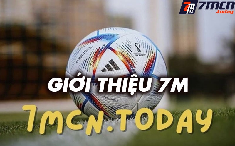 Giới thiệu fastivalstatus.in