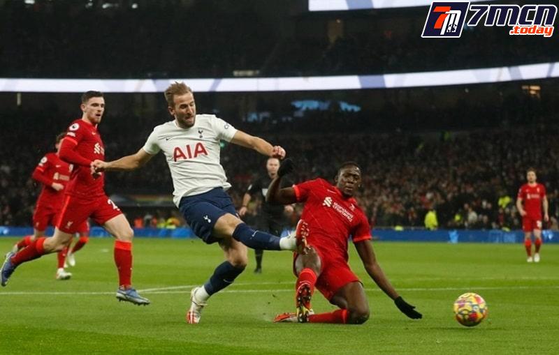 7M còn cung cấp nhiều thông tin dự đoán chính xác